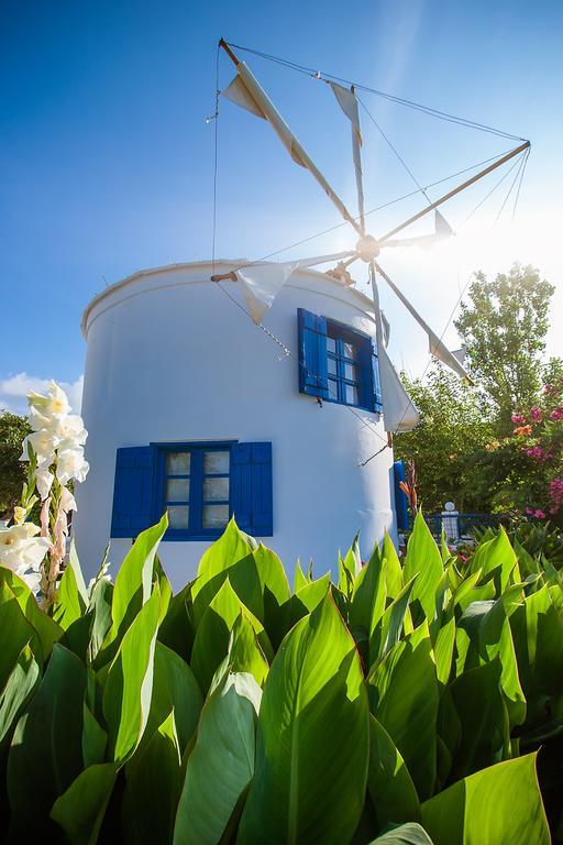 Anemomilos Studios Gerani  Luaran gambar